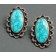 Perry Shorty Earrings of Lone Mountain 