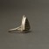 Shane Hendren Ring, Cuttlebone Cast