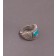 Raymond Yazzie Ring of Inlay
